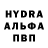 ГЕРОИН хмурый Tamina Hiyarova